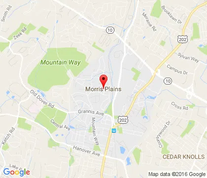 logo-image - MorrisPlains-NJ